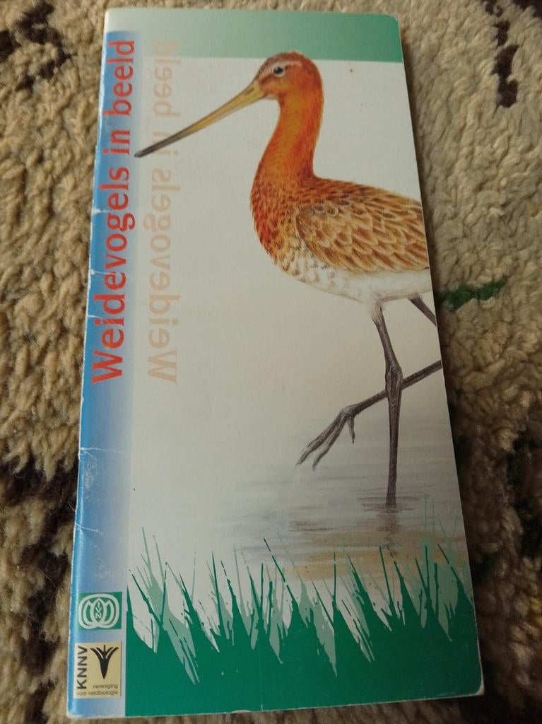 Boek Weidevogels in beeld, Ophalen of Verzenden