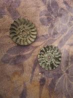 Halfpoulie origineel minarelli, Ophalen