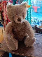 Steiff Teddy, Ophalen of Verzenden, Zo goed als nieuw, Stoffen beer, Steiff