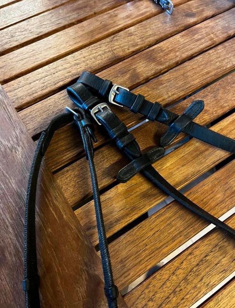 Teugels zwart NIEUW!, Dieren en Toebehoren, Ophalen of Verzenden, Nieuw, Dressuur