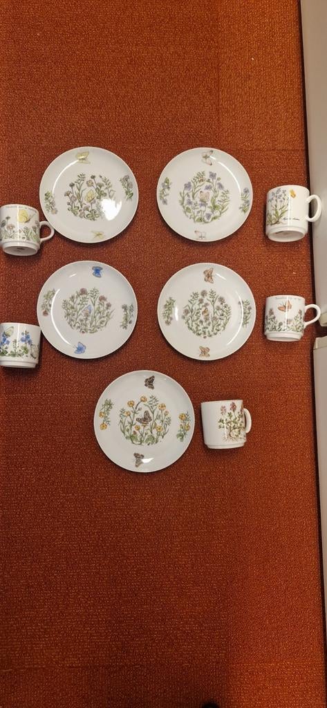 Nieuw Bavaria ontbijtservies met natuurprint, Nieuw, Ophalen of Verzenden, Overige stijlen, Kop(pen) en/of Schotel(s)