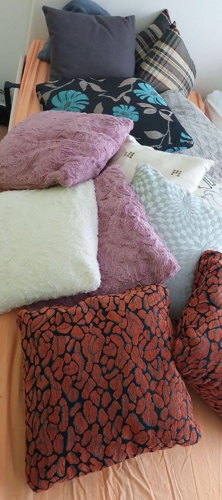 14 leuke sierkussens, Huis en Inrichting, Woonaccessoires | Kussens, Ophalen, Vierkant