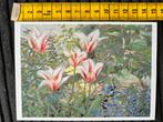 995. Kunstkaart Juke Hudig Tulpen veld, Ophalen of Verzenden, 1980 tot heden, Ongelopen, Sterren en Beroemdheden
