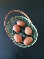 broedeieren gezocht, Dieren en Toebehoren, Pluimvee, Geslacht onbekend, Kip