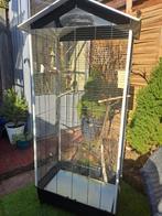 Te koop, Dieren en Toebehoren