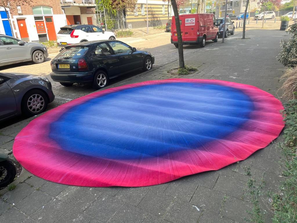 Groot vloerkleed ovaal, Ophalen, Blauw, 200 cm of meer, Zo goed als nieuw