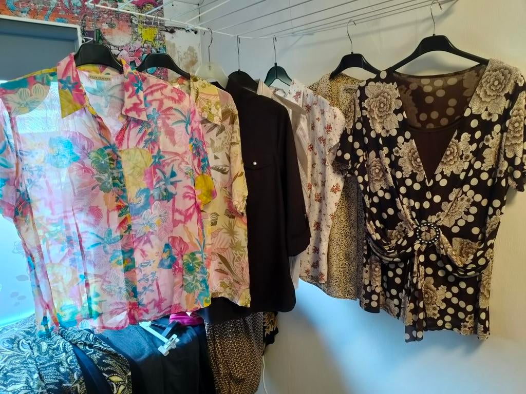 7 blouses maat 44, Kleding | Dames, Ophalen of Verzenden, Zo goed als nieuw, Maat 42/44 (L)