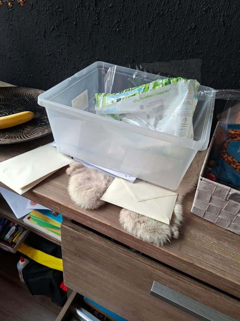 Bak, Ophalen of Verzenden, Jongetje of Meisje