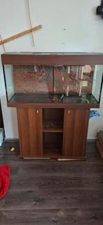 Aquarium  1m x40 x50, Ophalen, Leeg aquarium