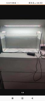 Aquarium met verlichting, Dieren en Toebehoren, Ophalen, Leeg aquarium