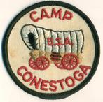 Insigne Boy Scouts of America, Verzamelen, Scouting, Verzenden, Zo goed als nieuw, Embleem, Speld of Insigne