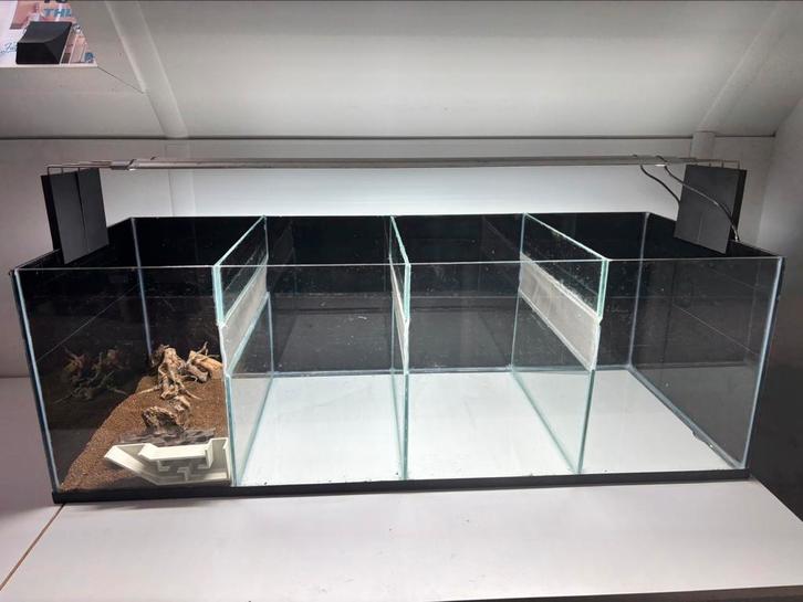 Aquarium | kweekbak | 4 bakken in één, Dieren en Toebehoren, Vissen | Aquaria en Toebehoren, Zo goed als nieuw, Leeg aquarium