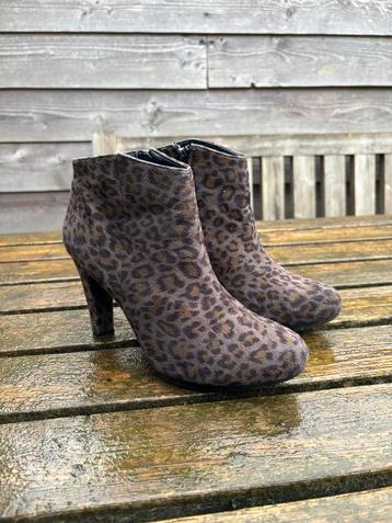 Leopard Enkellaarsjes - Maat 38 dierenprint beschikbaar voor biedingen