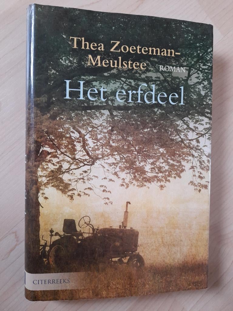 HET ERFDEEL Thea Zoeteman-Meulstee, Boeken, Romans, Ophalen of Verzenden, Gelezen