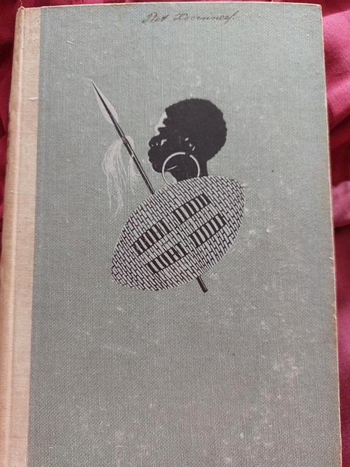 Het grote avontuur - ir. J.P. Valkema Blouw, Boeken, Kinderboeken | Jeugd | 13 jaar en ouder, Gelezen, Ophalen of Verzenden