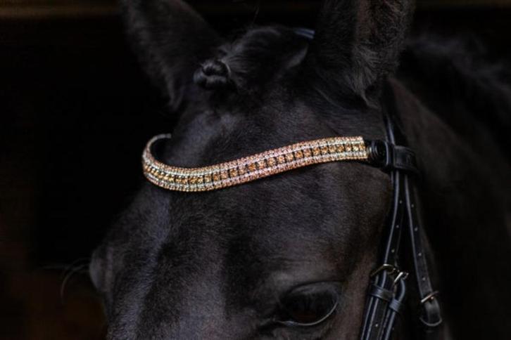 L'Anique Click&Go Frontriem Golden Hour, Dieren en Toebehoren, Paarden en Pony's | Hoofdstellen en Tuigage, Nieuw, Dressuur, Ophalen of Verzenden