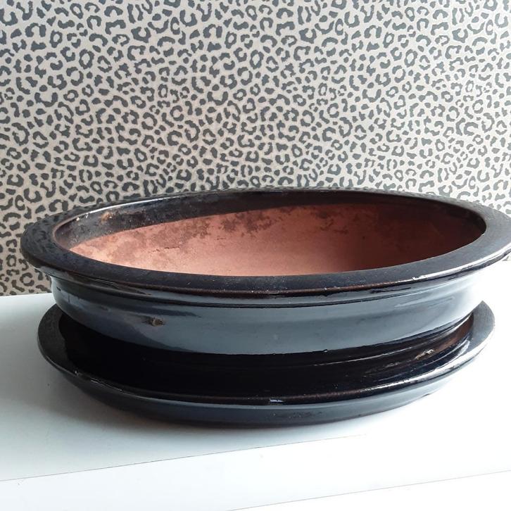 Zware ovale Bonsai schaal 15 + onderschaal set 30,5 x 22,5, Tuin en Terras, Bloempotten, Gebruikt, Terracotta, Binnen, Balkon