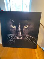 foto kat, Ophalen, Zo goed als nieuw, 100 tot 125 cm, Foto of Poster