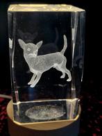 Kristallen 3D Chihuahua glasblok, Ophalen of Verzenden