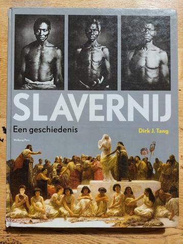 Slavernij: Een geschiedenis - Dirk J. Tang beschikbaar voor biedingen