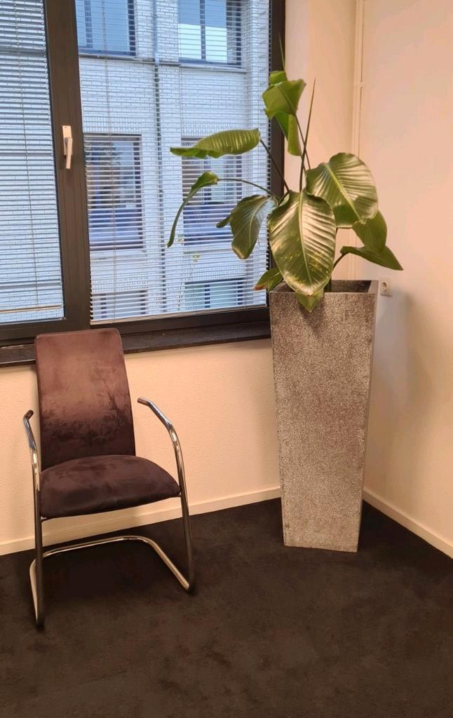 Diverse kantoormeubelen; gratis, Huis en Inrichting, Complete inboedels, Ophalen