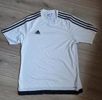 Adidas Climalite sportshirt wit maat L, Maat 52/54 (L), Wit, Ophalen of Verzenden, Zo goed als nieuw