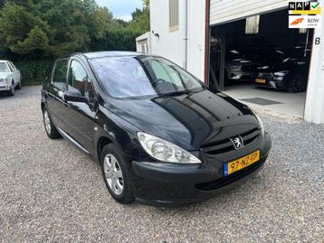 Peugeot 307 1.6-16V XS Pack beschikbaar voor biedingen