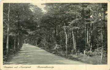 (381-018-029) Nunspeet Groeten uit groenelaantje beschikbaar voor biedingen