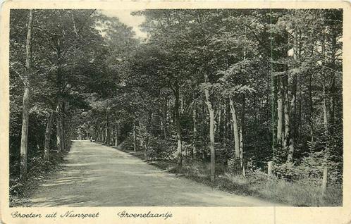 (381-018-029) Nunspeet Groeten uit groenelaantje, Verzamelen, Ansichtkaarten | Nederland, Gelderland, Verzenden