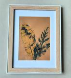 Herfst Bladeren - Oost-Indisch Inkt & Acryl, Antiek en Kunst, Kunst | Tekeningen en Foto's, Ophalen of Verzenden