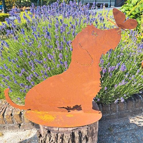 Teckel, Dieren en Toebehoren, Honden-accessoires, Ophalen of Verzenden