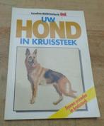 Uw hond in kruissteek borduurboek honden borduren Steek, Handborduren, Patroon, Zo goed als nieuw, Verzenden