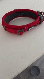 Halsband maat 30/35, Ophalen of Verzenden, Zo goed als nieuw