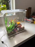 Biorb Life 30L met verlichting en verwarming, Dieren en Toebehoren, Vissen | Aquaria en Toebehoren, Ophalen of Verzenden, Zo goed als nieuw