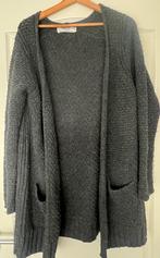 Sissy Boy halflang grijs vest met wol  M, Kleding | Dames, Maat 38/40 (M), Sissy-Boy, Ophalen of Verzenden, Zo goed als nieuw