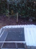 Mooi kippen hok, Dieren en Toebehoren, Vogels | Duiven, Vrouwelijk, Postduif