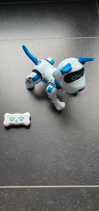 Robot hond, bestuurbare hond, robot, Kinderen en Baby's, Speelgoed | Speelgoedvoertuigen, Zo goed als nieuw, Afstandsbediening