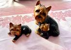 Twee yorkshire terrier beeldjes van Harvey Knox, Ophalen of Verzenden, Zo goed als nieuw
