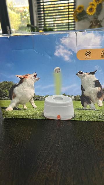 Ballen launcher honden beschikbaar voor biedingen