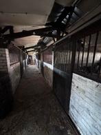 Paardenboxen 7 stuks, 4 paarden of pony's of meer