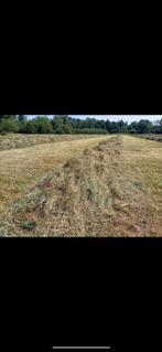 Voordroog hooi eerste snede 2025, Dieren en Toebehoren, Dierenvoeding, Ophalen of Verzenden, Vee