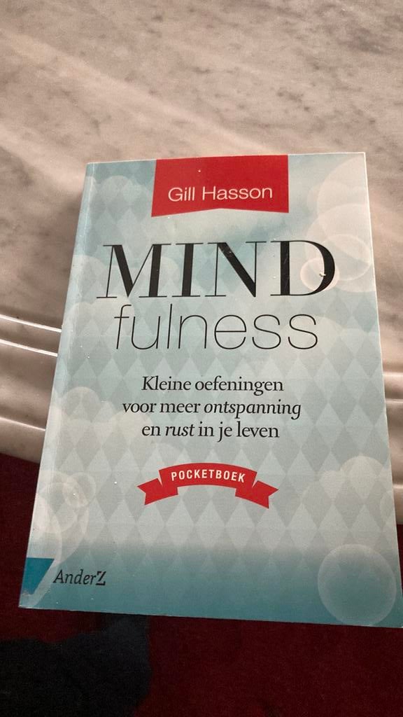 Gill Hasson - Mindfulness, Ophalen of Verzenden, Nieuw, Gill Hasson