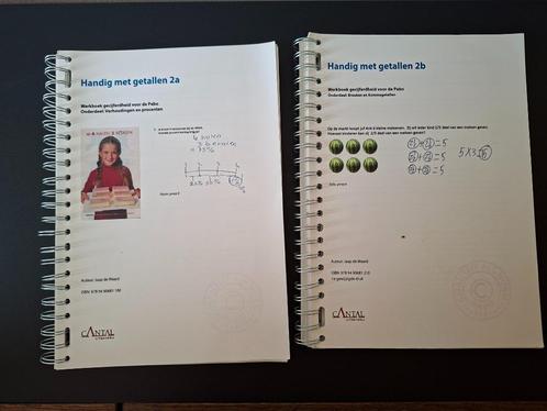 handig met getallen 2A en 2B onbeschreven pabo boeken, Boeken, Studieboeken en Cursussen, Zo goed als nieuw, HBO, Alpha, Ophalen of Verzenden