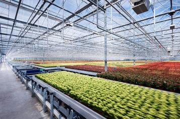 Innovatieve Teeltspecialist beschikbaar voor biedingen