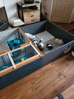 Honden  werpkist., Dieren en Toebehoren, Ophalen