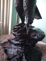 Te koop Super mooie adelaar xxl van brons, Antiek en Kunst, Ophalen, Brons