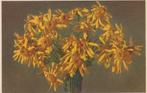 BLOEM BLOEMEN JAREN 50-60 ZEER MOOIE OUDE KAART KJ456, Verzamelen, Ansichtkaarten | Themakaarten, Ophalen of Verzenden, 1940 tot 1960
