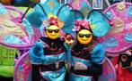 Carnavalspakken loopgroep lente kriebels, Ophalen, Zo goed als nieuw, Carnaval