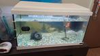 Aquarium, Dieren en Toebehoren, Vissen | Aquaria en Toebehoren, Ophalen, Gebruikt, Leeg aquarium