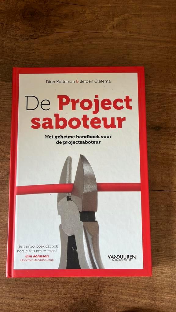 Dion Kotteman - De projectsaboteur, Boeken, Wetenschap, Zo goed als nieuw, Sociale wetenschap, Ophalen of Verzenden